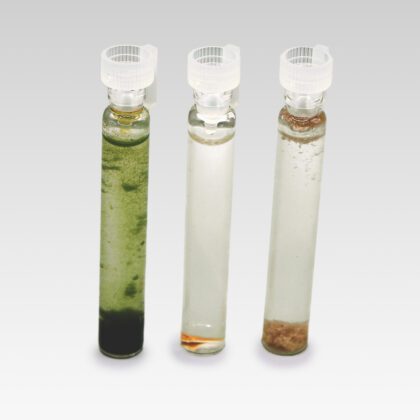 GANS - wody plazmatyczne